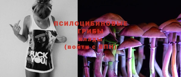 Альфа ПВП Мегион