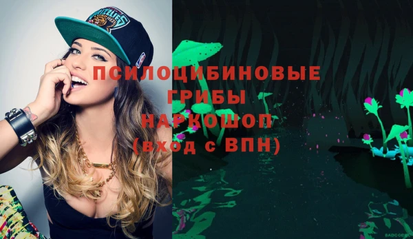 ECSTASY Медногорск